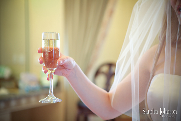 Best Nottoway Plantation Wedding photographer - Sandra Johnson (SJFoto.com)